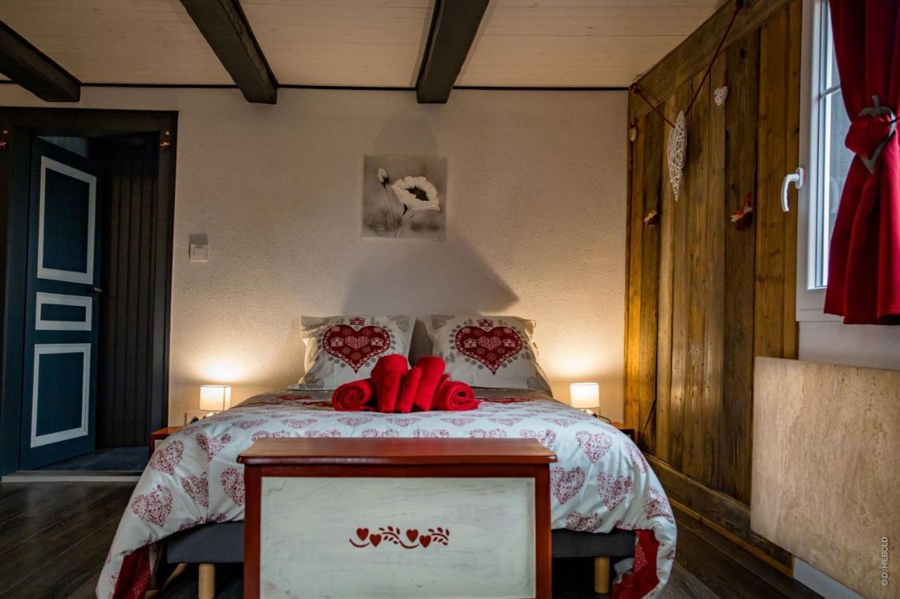 Gite Les Sabots De Paille, Alsace Haut-Rhin Ballesdorf Zewnętrze zdjęcie
