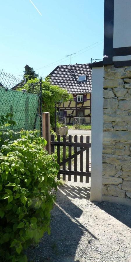 Gite Les Sabots De Paille, Alsace Haut-Rhin Ballesdorf Zewnętrze zdjęcie