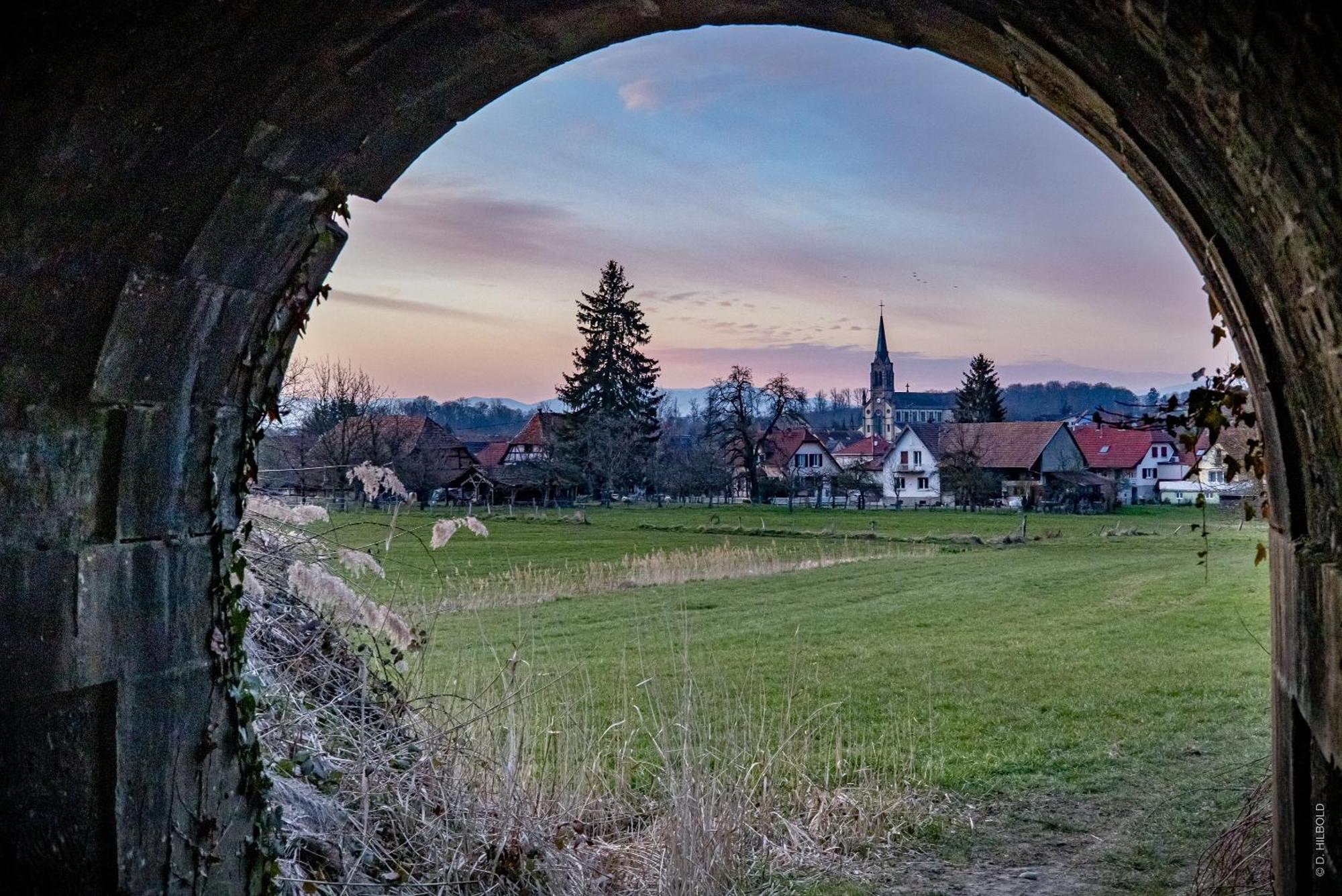 Gite Les Sabots De Paille, Alsace Haut-Rhin Ballesdorf Zewnętrze zdjęcie